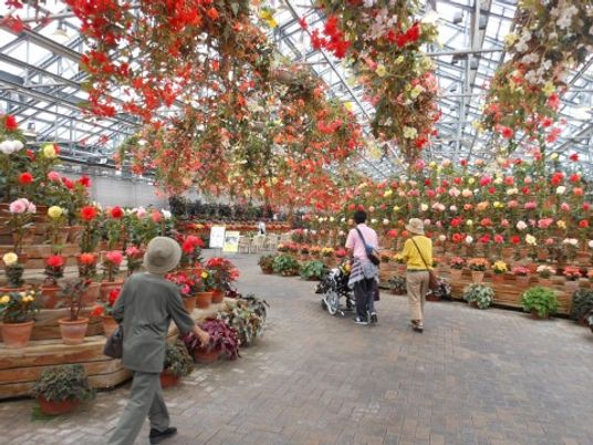 温室の花と訪問者