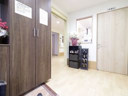 廊下の花と掲示物