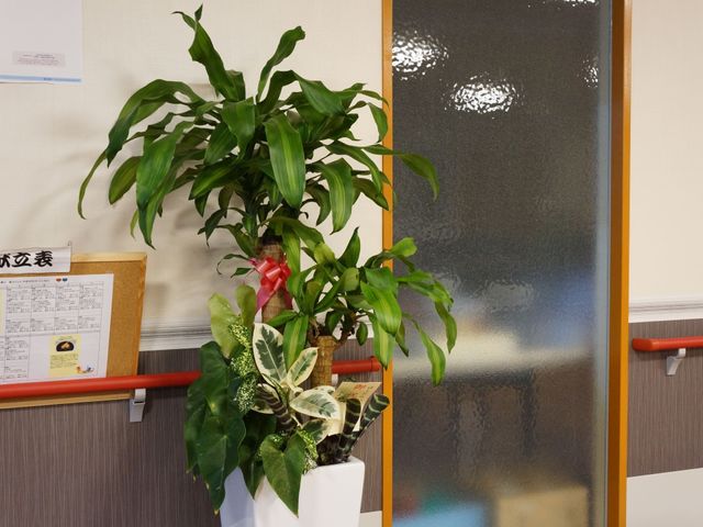 光が差し込む廊下の角 スライドショー 温かい陽光が窓から差し込む、静かな廊下の一角です。壁にかかる掲示物も、日々の情報共有に役立ちますね。