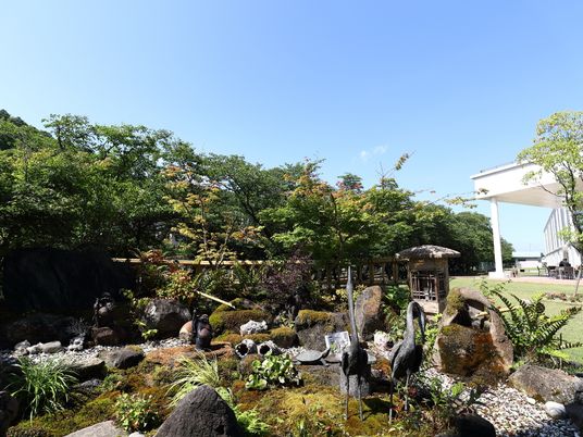 緑豊かな施設の庭