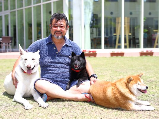 男性と犬たち中庭で