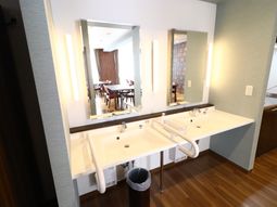 清潔な洗面台とミラー