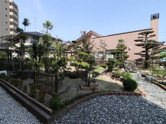緑豊かな中庭風景