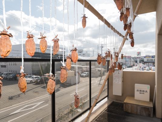 乾燥柿が吊るされたバルコニー