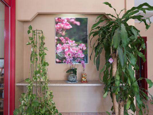 花の絵と観葉植物の飾り