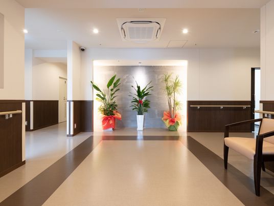 清潔な廊下の植物装飾