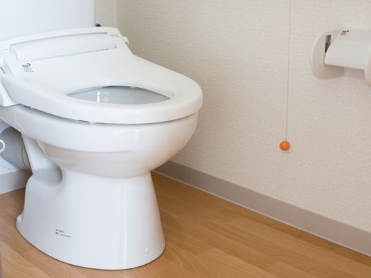 清潔なトイレの一角