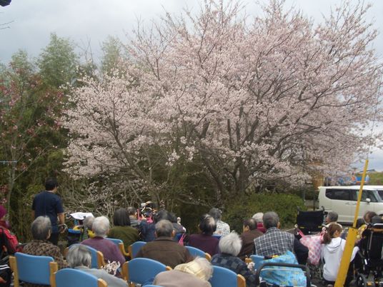 桜と共に春を楽しむ人々