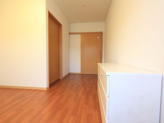 居室の壁は白色で、床はナチュラル色のフローリングである。茶色い扉が2枚設置されている。白色のタンスが１竿置かれている。