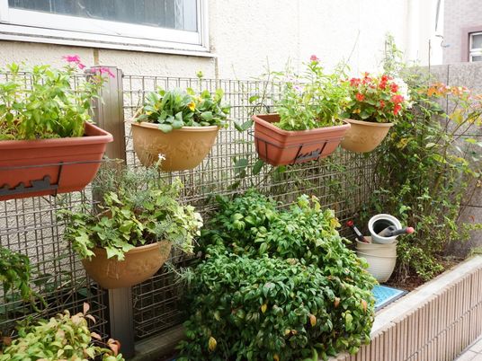 植物が並ぶ癒しの庭