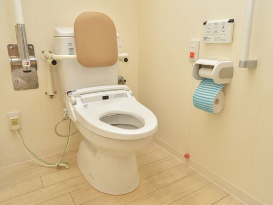 手すり付き清潔なトイレ