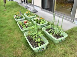 緑豊かなプランター並ぶ施設外