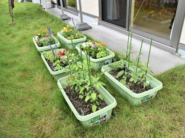 緑豊かなプランター並ぶ施設外