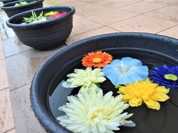 色とりどりの花が浮かぶ庭