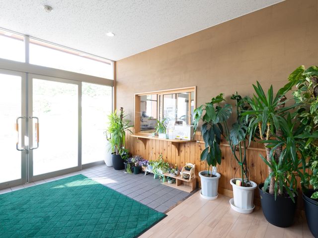 エントランスの植物と受付 玄関 自然光が差し込むエントランスは、緑豊かな植物に囲まれた明るい空間です。快適で温かみのある受付周りが、皆様をお迎えいたします。