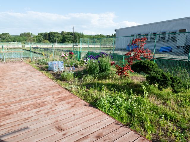 緑豊かな庭の一角 ウッドデッキ 温もりのある木製デッキが、四季折々の植物を眺める憩いの場を提供しています。癒しの時を過ごせる空間が広がっております。