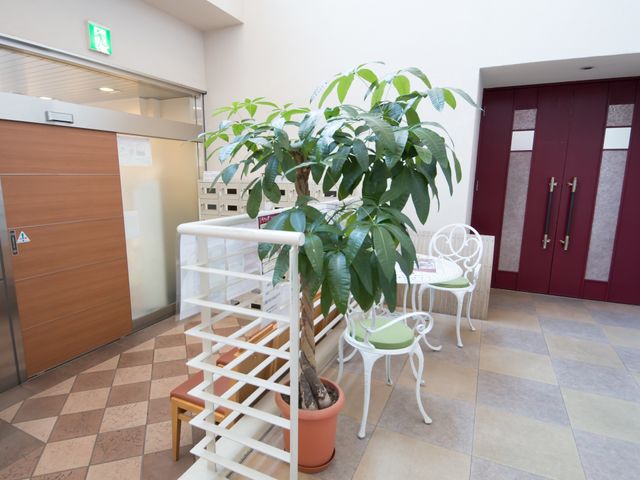 快適なロビーの風景 ホール よく手入れされた観葉植物と白い椅子が配置され、訪れる人を温かく迎える入口の空間です。ゆったりとした時間を過ごすことができるでしょう。