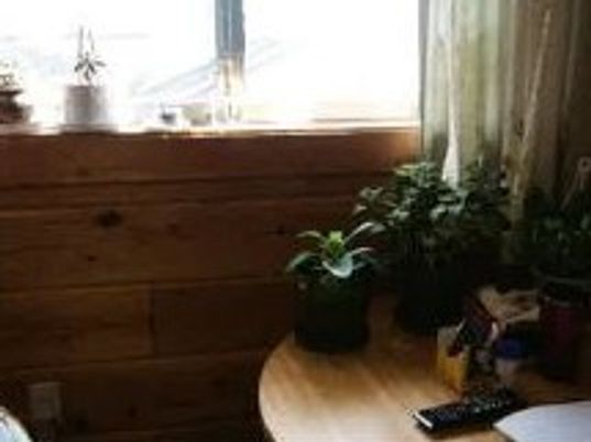 植物が置かれた木の窓辺