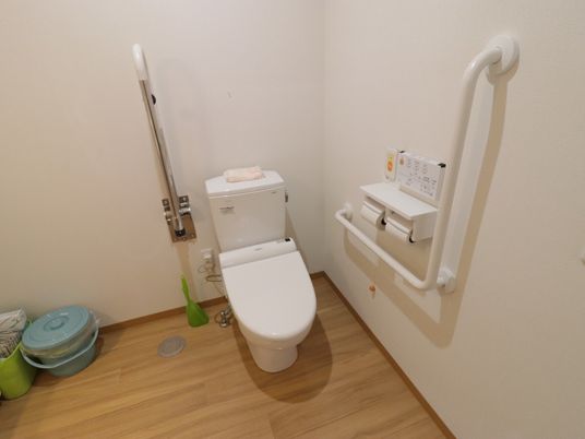 共用のトイレは広く作られた個室内に洗面台があり、便器のの背中側の壁に折りたためる金属製の手すりが設置されている。