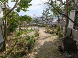 庭の全景