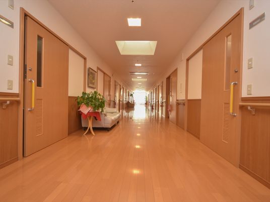 廊下の清潔な木目調空間