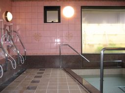浴室のリフト付き階段