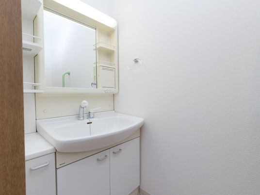 清潔な洗面台の様子