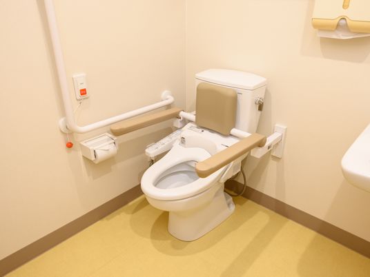 手すり付きの清潔なトイレ