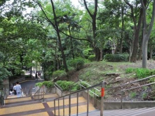 自然豊かな中庭
