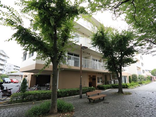 緑に囲まれた建物エントランス