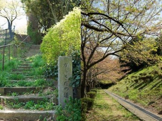緑豊かな施設の中庭