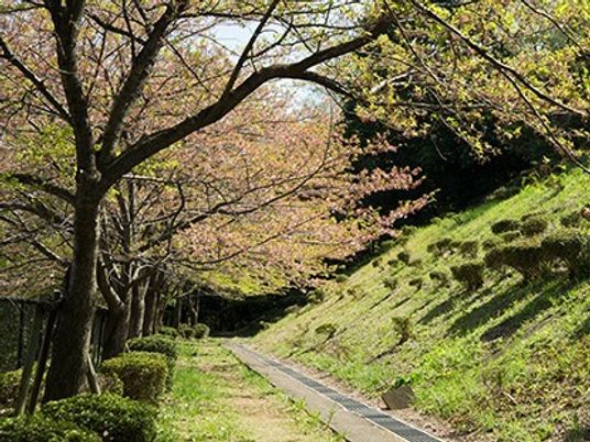 緑豊かな施設の中庭
