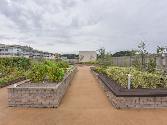 緑豊かな屋上庭園