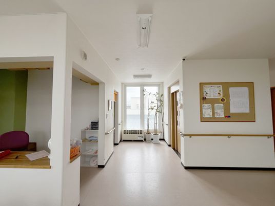 日差しが差し込む廊下