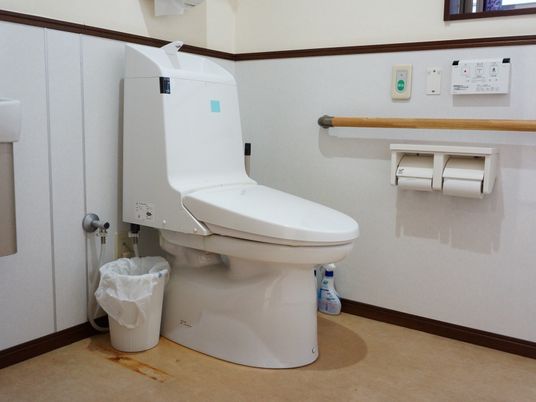 手すり付き清潔なトイレ