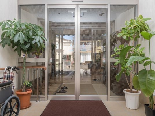 玄関の自動ドアと観葉植物