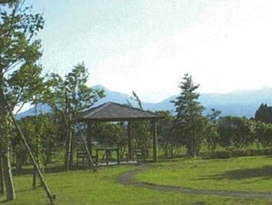 緑豊かな中庭