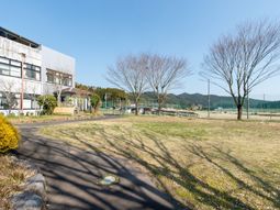 広々した中庭の風景