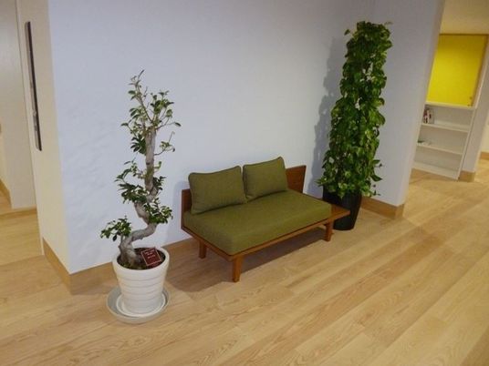 ベンチと観葉植物のロビー