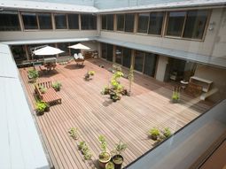 明るい中庭の風景