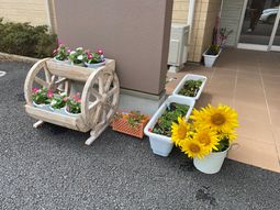 入口近くの花装飾