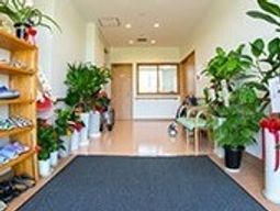 明るい廊下と観葉植物