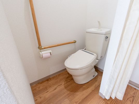 手すり付きトイレの内観