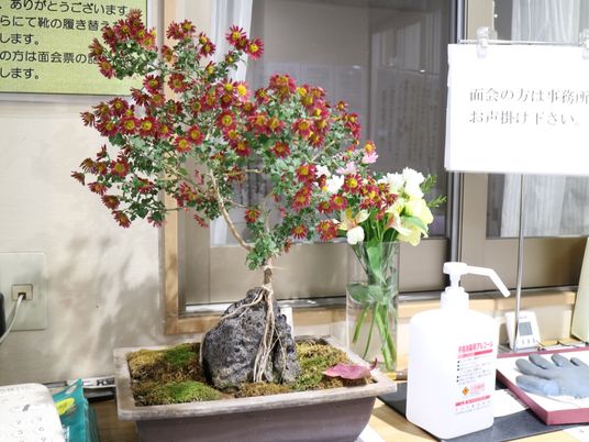 花と盆栽のある受付
