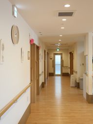 清潔感のある廊下