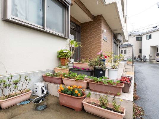 エントランスの花壇