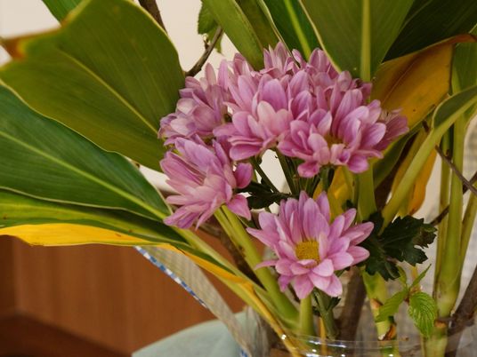 ピンクの花と緑の葉