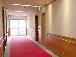 明るい廊下の様子