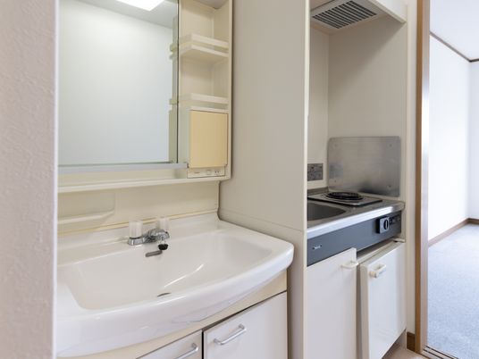 清潔な洗面台と簡易キッチン