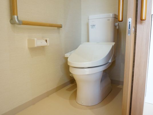 手すり付き清潔なトイレ